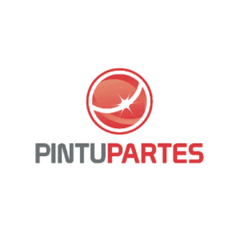 Pintupartes